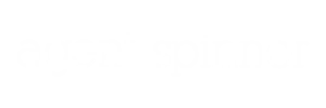 Agent Spinner logo